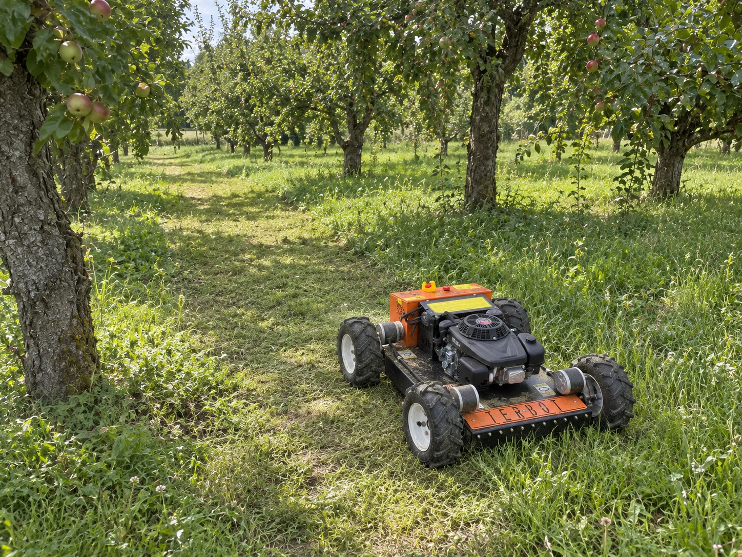 TERBOT M55 Mini jako kosiarka na pilota do koszenia trawy w sadzie między drzewami